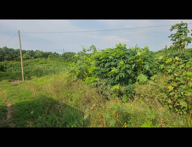 10,205M² VACANT LAND FOR SALE IN KULEKA